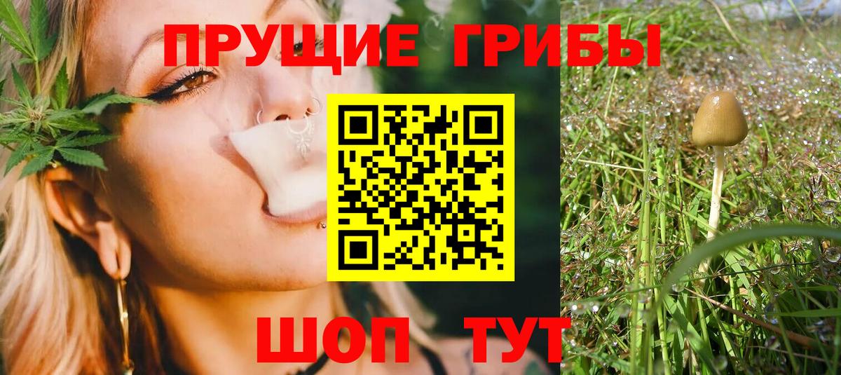 Ульяновск  Галлюциногенные грибы Cubensis  Вход с VPN 
